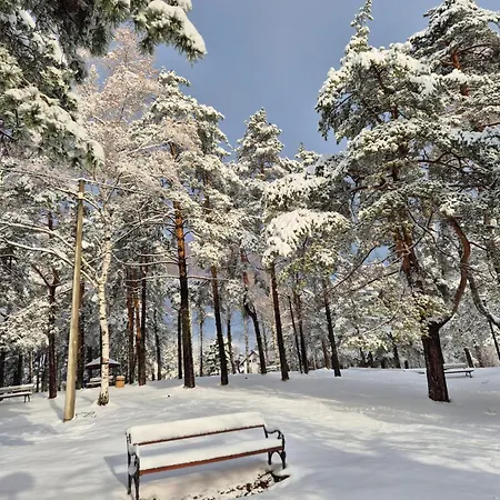 Davidovic Md 2 Apartment *