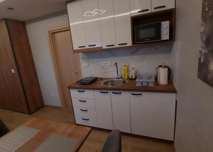 アパート Davidovic Md 2 *