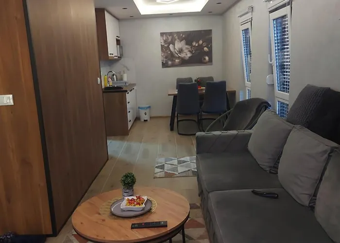 アパート Davidovic Md 2 Divčibare