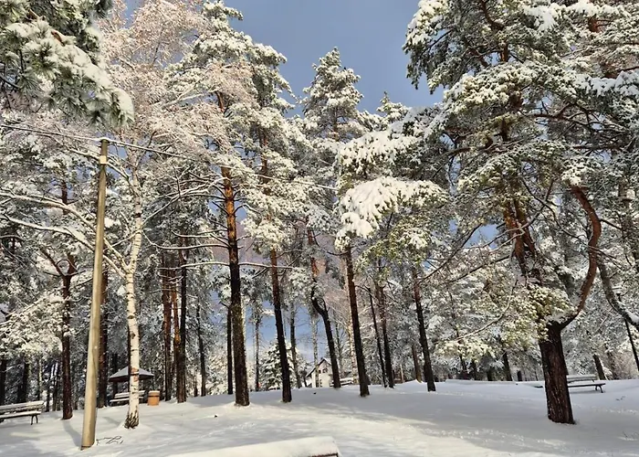 Davidovic Md 2 アパート *